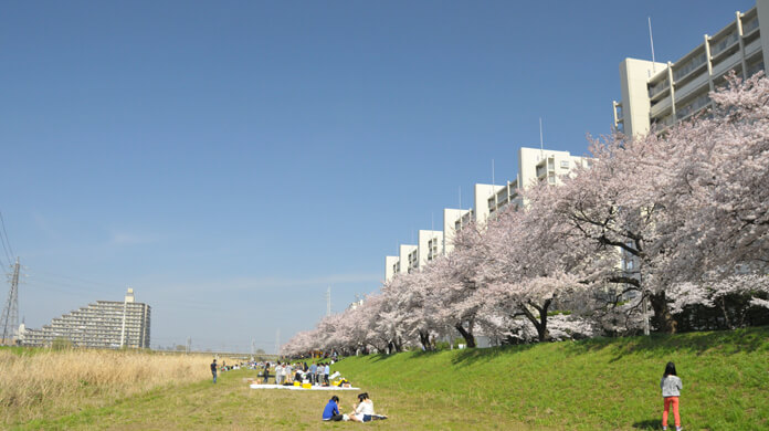 埼玉県「志木市」の特徴とマンション