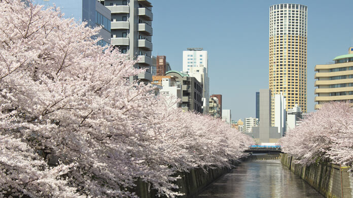 東京都「目黒区」の特徴とマンション