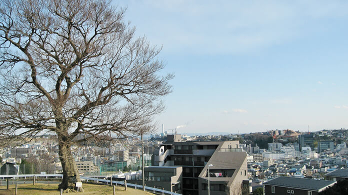 神奈川県「横浜市南区」の特徴とマンション