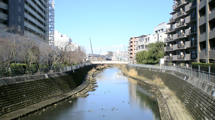 神奈川県「横浜市保土ケ谷区」の特徴とマンション