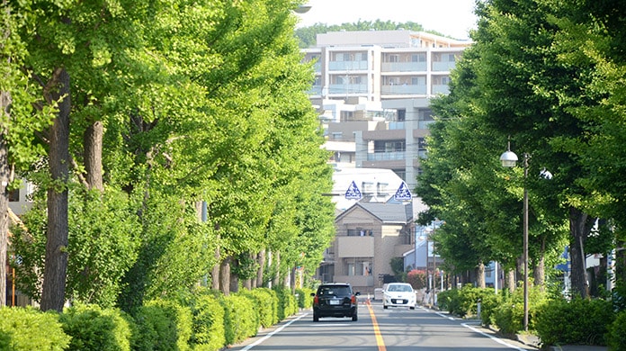 神奈川県「横浜市青葉区」の特徴とマンション