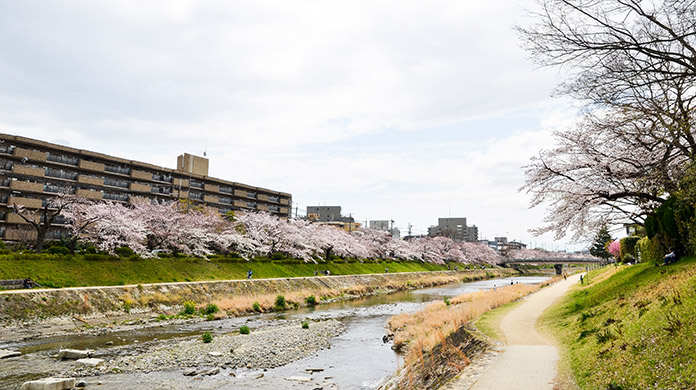 京都府「京都市左京区」の特徴とマンション