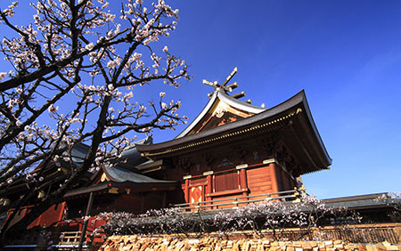神社、仏閣の多い落ち着いた街