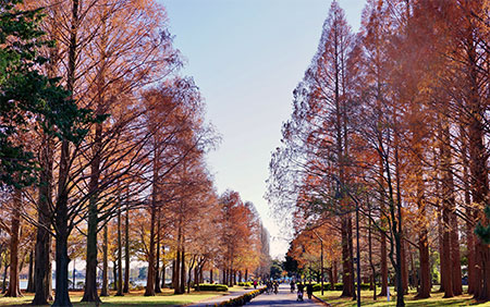物価が安く 老若男女さまざまな層が暮らす街 金町駅 駅 エリア 住まいサーフィン研究所