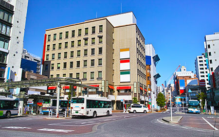 市川駅「移動の選択肢が広く、静かな住宅街が魅力」
